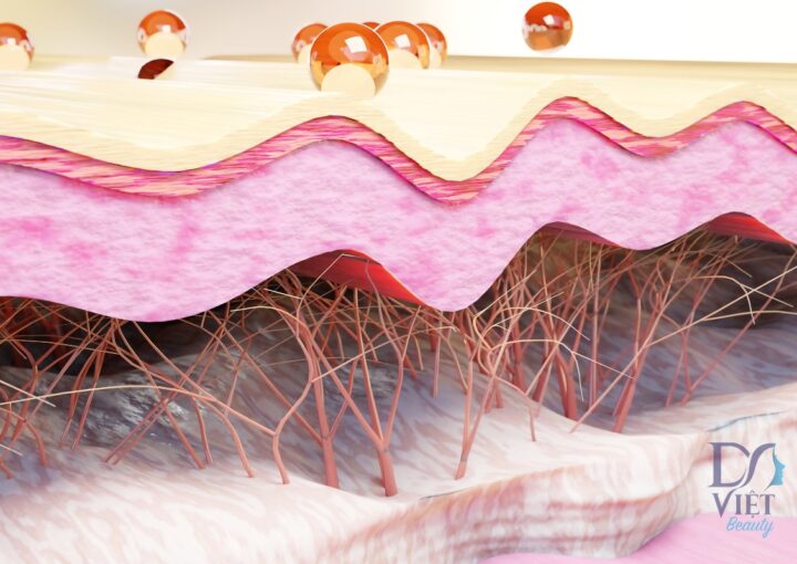 Cấu Trúc Của Làn Da: Sự Phức Tạp và Quan Trọng Đằng Sau Vẻ Đẹp